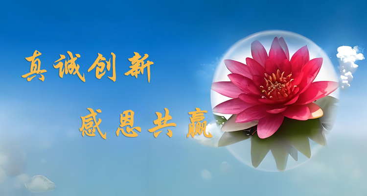 极速推 快速提升网站整体排名